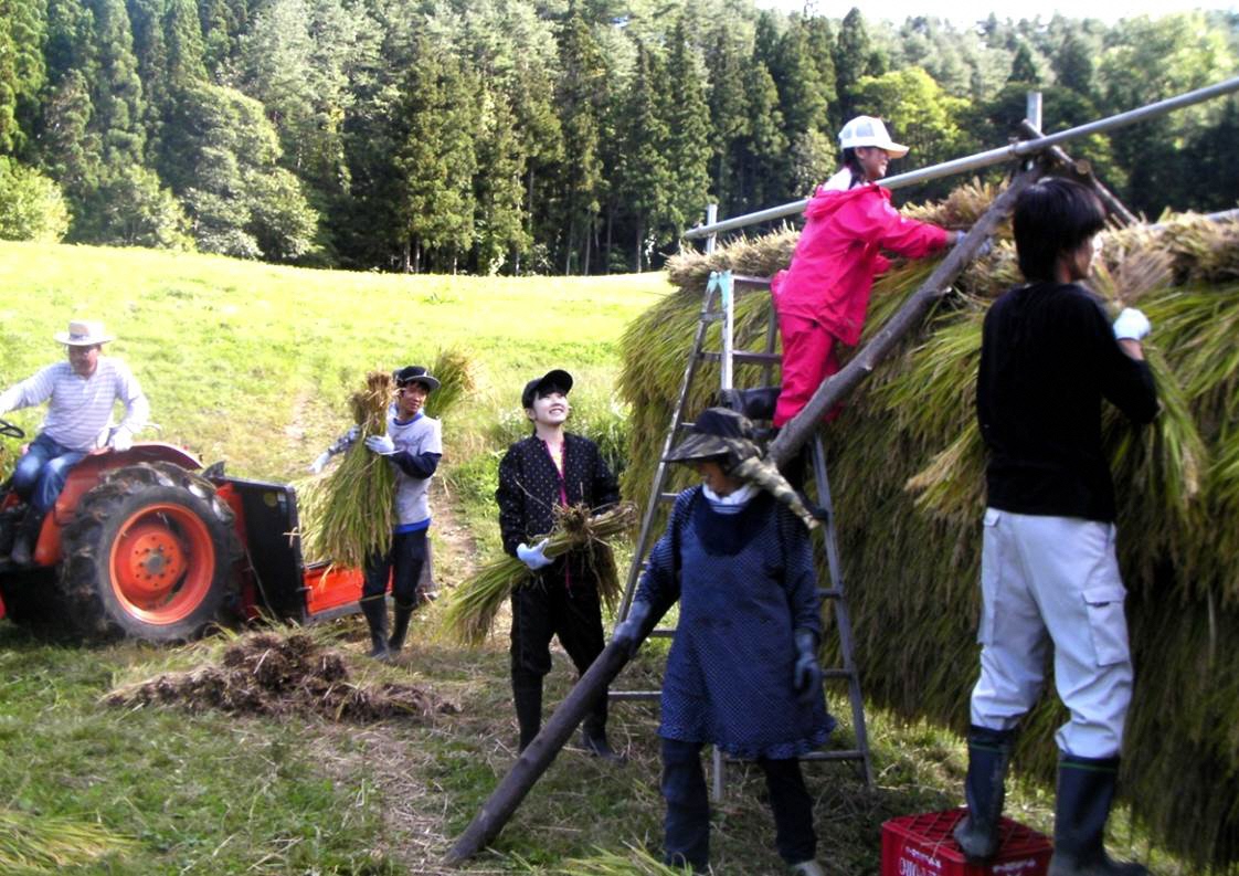 写真：あきた芸術村2